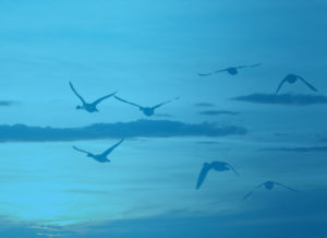 Simplcity Blog Feature Image