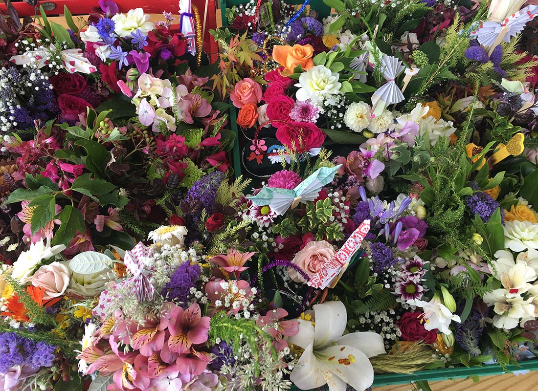 Project Butterfly Featured