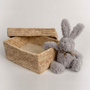 Baby Care Specialist